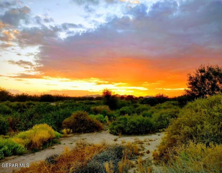 Fabens, El Paso County, TX Undeveloped Land for sale Property ID