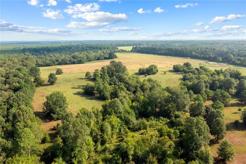 Foreman, Little River County, AR Undeveloped Land for sale Property ID