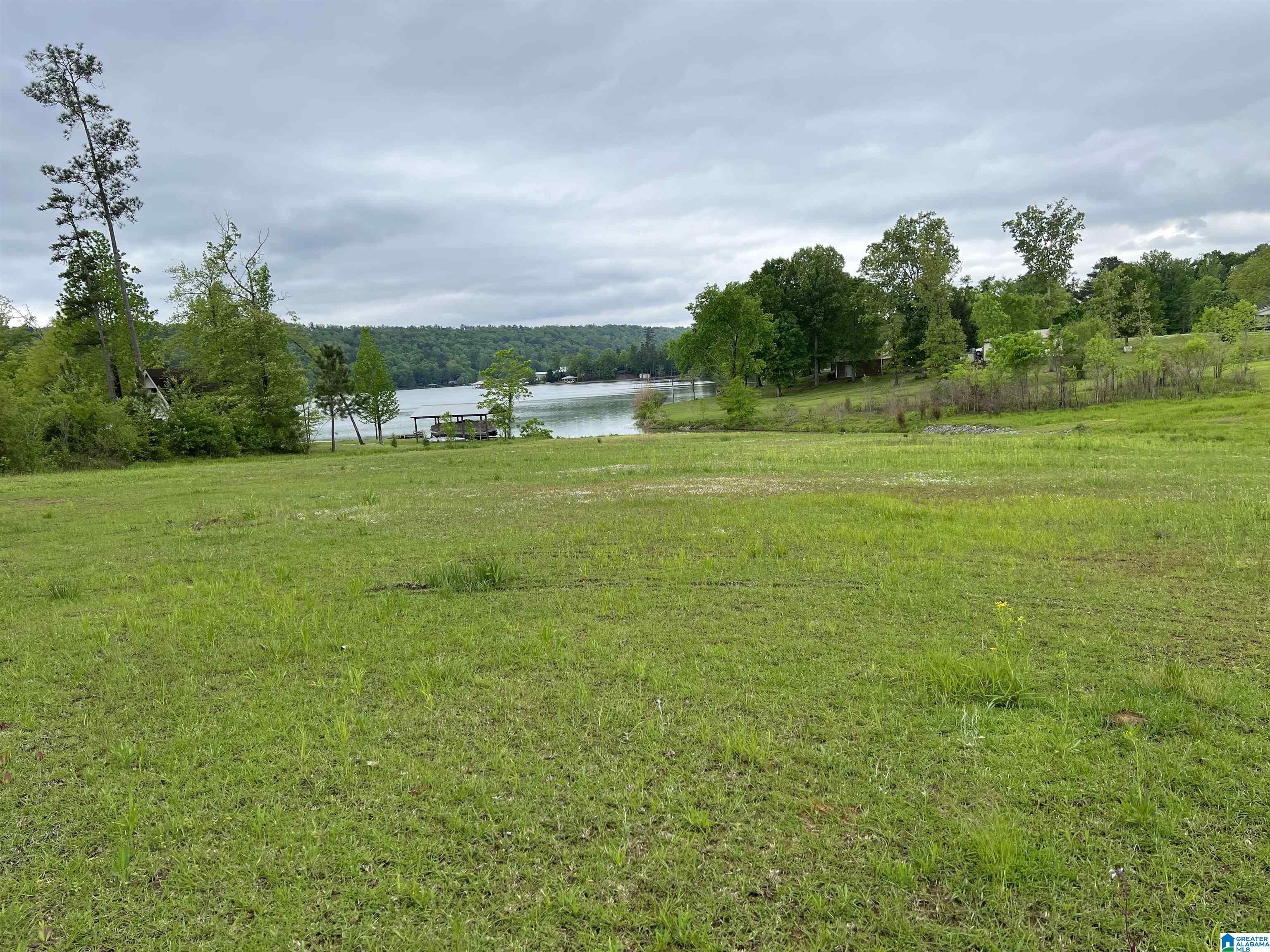 Ashville, Saint Clair County, AL Undeveloped Land for sale Property ID