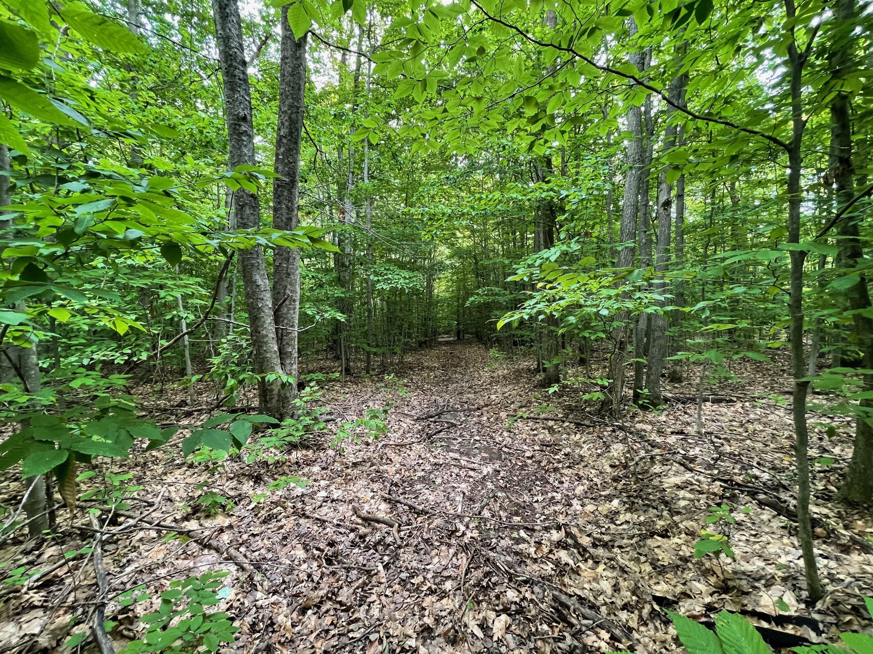 Gaylord, Otsego County, MI Undeveloped Land for sale Property ID