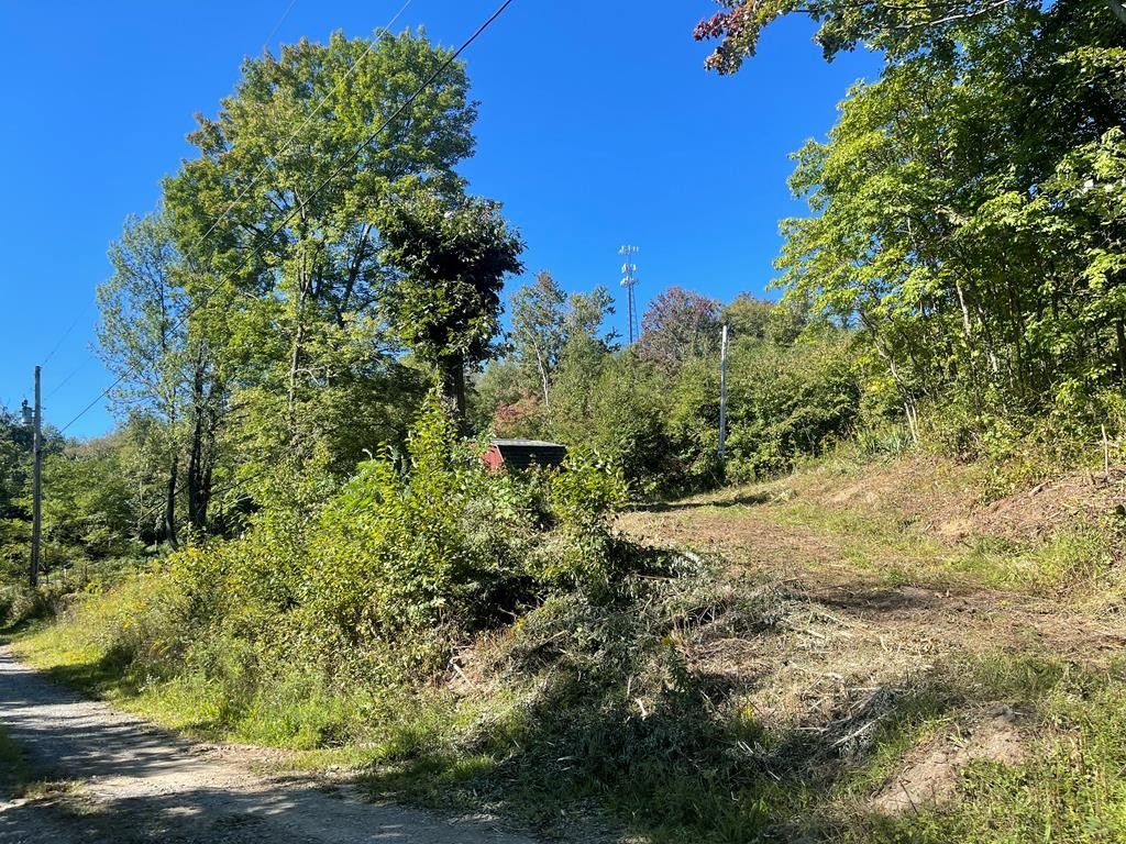 Williamsburg, Blair County, PA Undeveloped Land, Homesites for sale