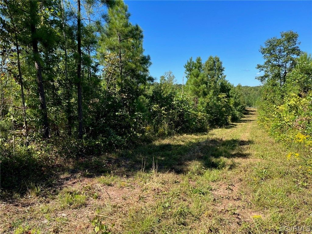 Dillwyn, Buckingham County, VA Undeveloped Land, Homesites for sale