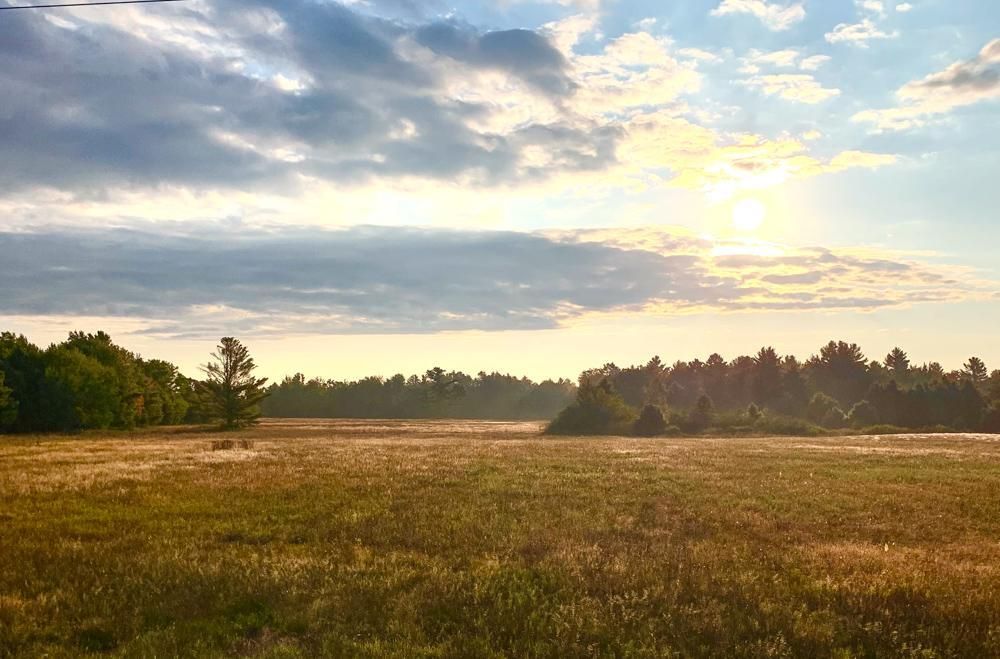 Pittsville, Wood County, WI Timberland Property, Hunting Property for sale Property ID