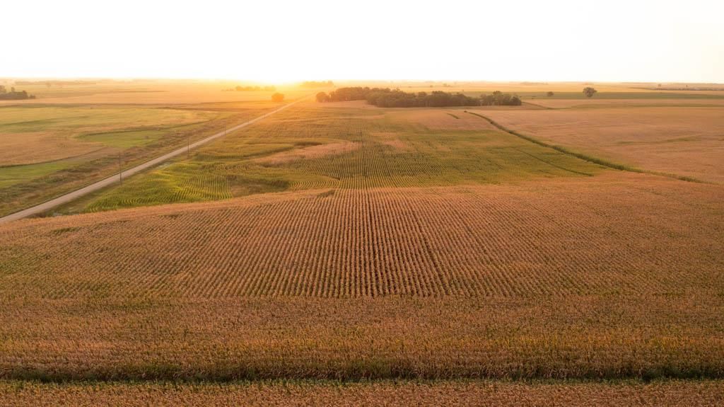 40 acres in Elkton, SD, 57026 LandWatch