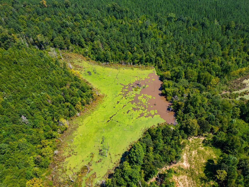 Chase City, Mecklenburg County, VA Undeveloped Land for sale Property