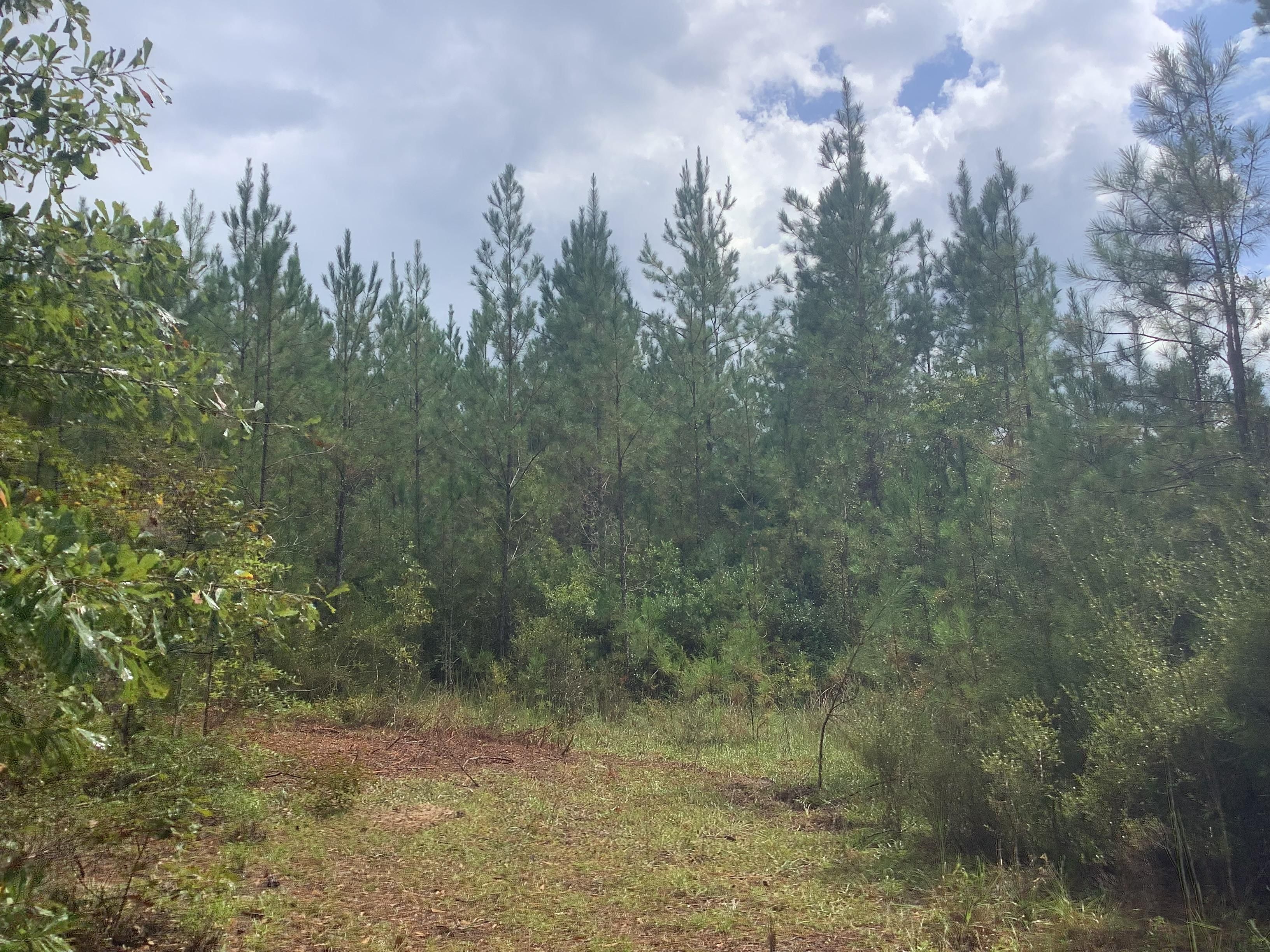 550 JUDGE SMITH RD, Andalusia, AL 36421 LandWatch