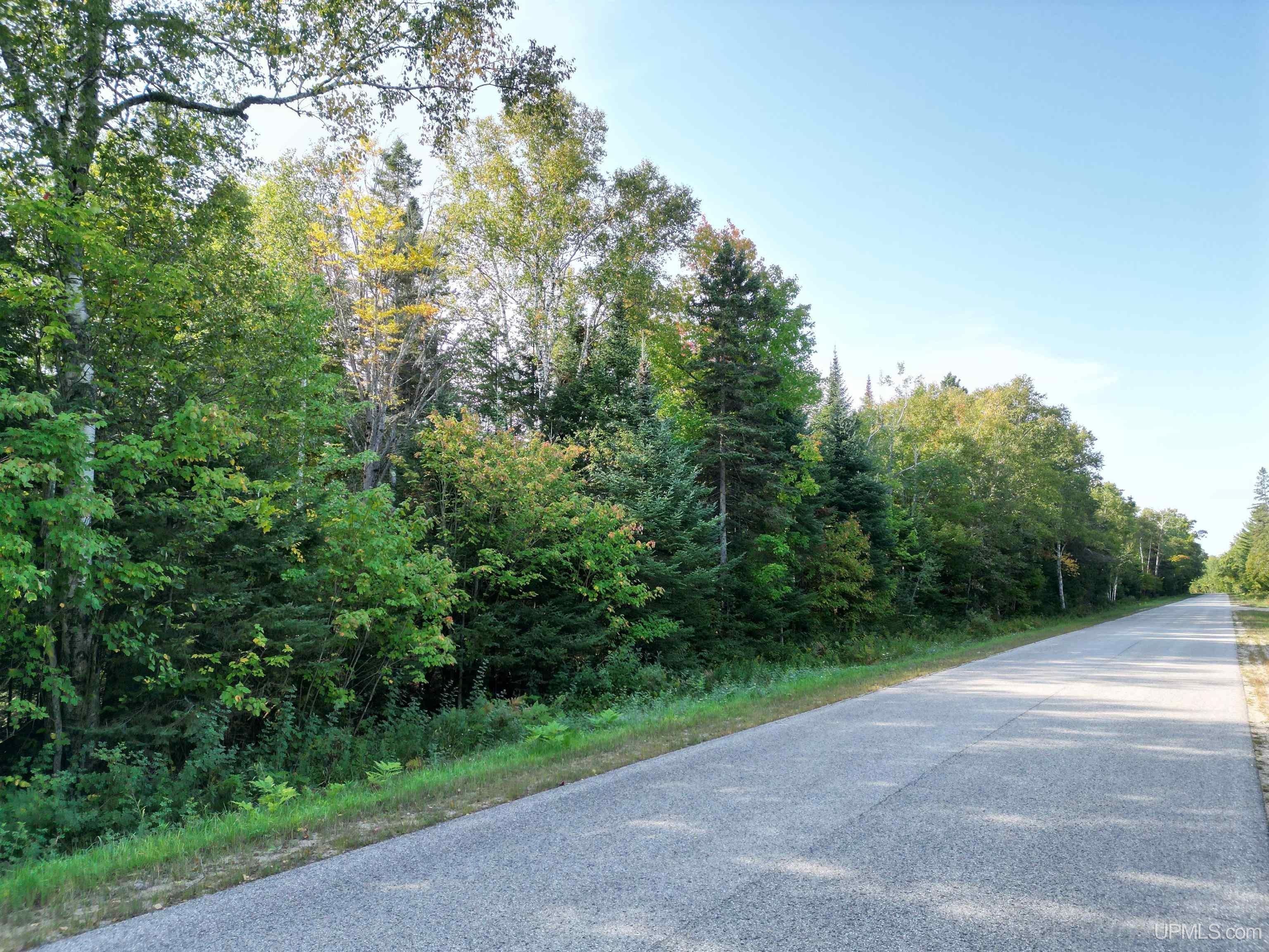 Manistique, Schoolcraft County, MI Undeveloped Land, Homesites for sale