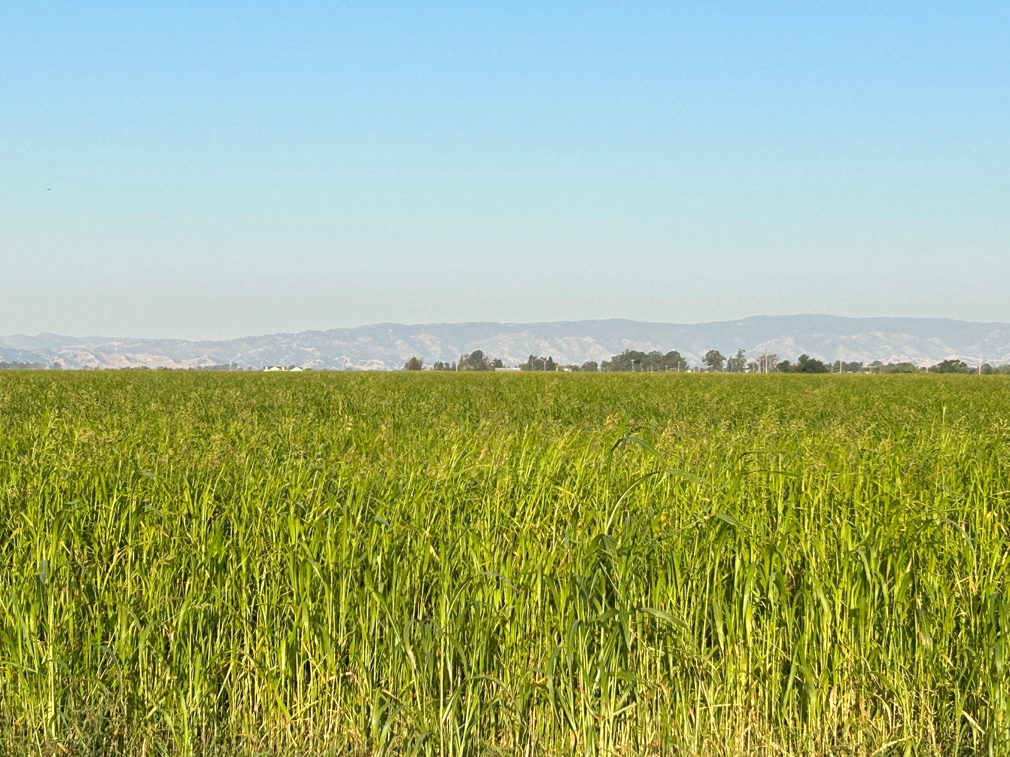 Dixon, Solano County, CA Farms and Ranches for sale Property ID 417706773 LandWatch