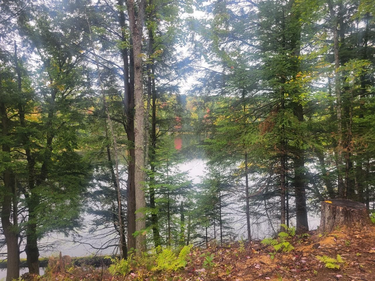 Bruce Crossing, Ontonagon County, MI Undeveloped Land, Lakefront