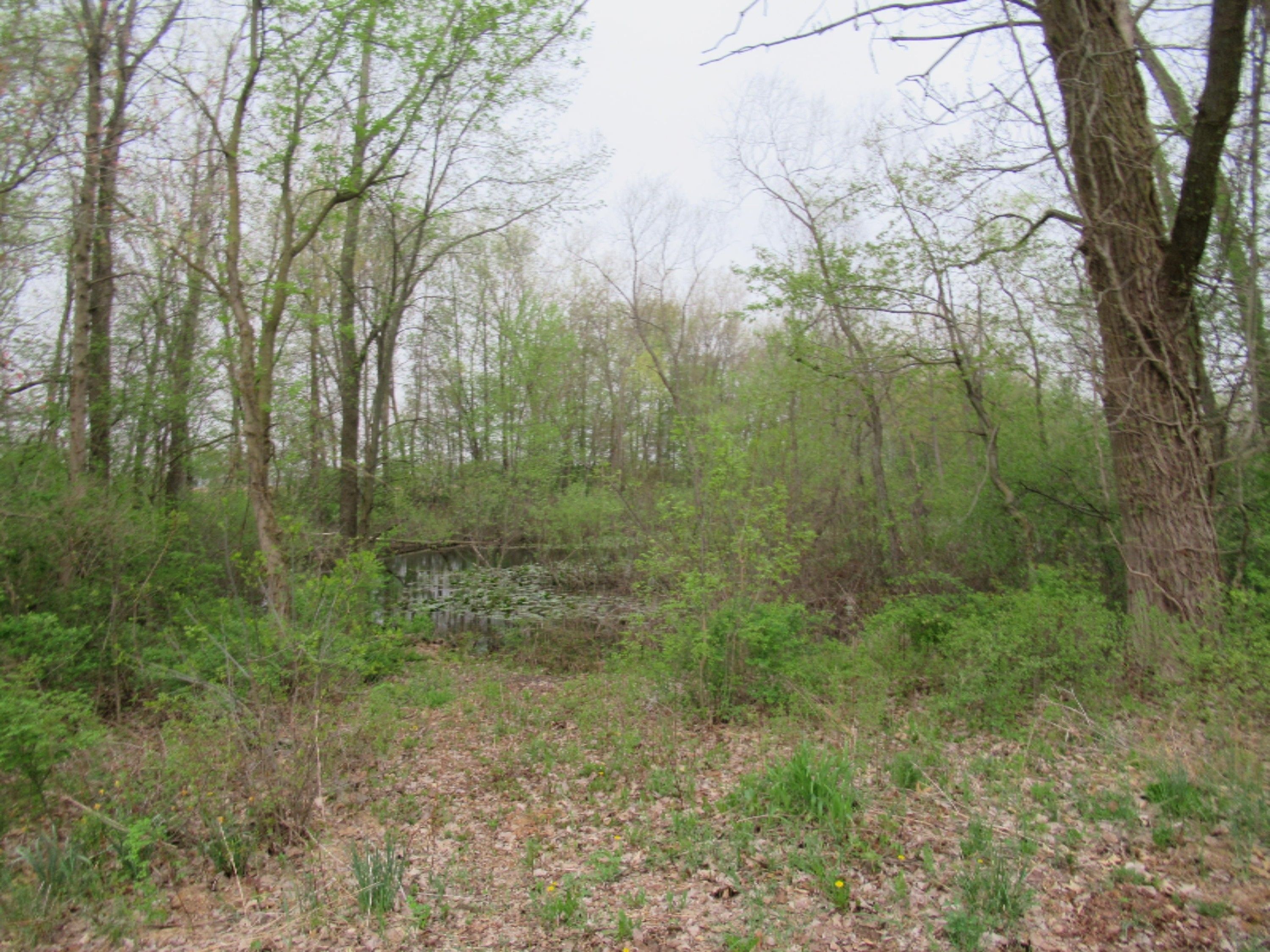 Cassopolis, Cass County, MI Undeveloped Land for sale Property ID