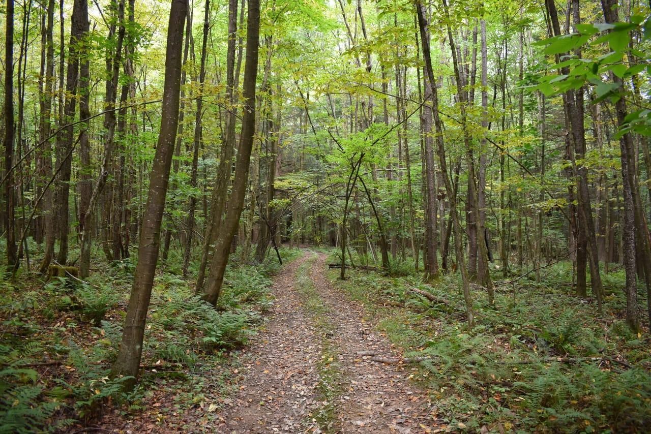 Pittsfield, Warren County, PA Recreational Property, Undeveloped Land