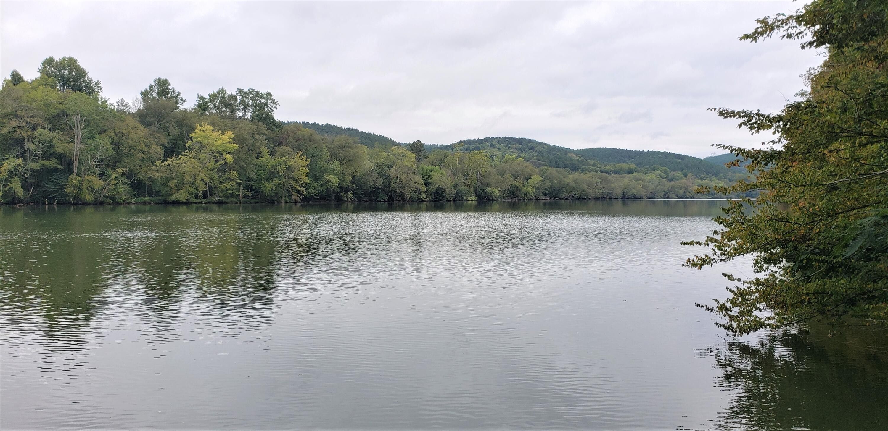 Calhoun, McMinn County, TN Farms and Ranches, Lakefront Property, Waterfront Property for sale