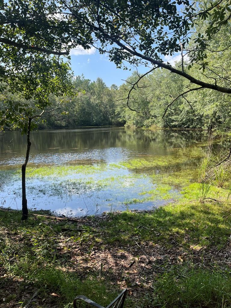 Wrightsville, Johnson County, GA for sale Property ID 417710443