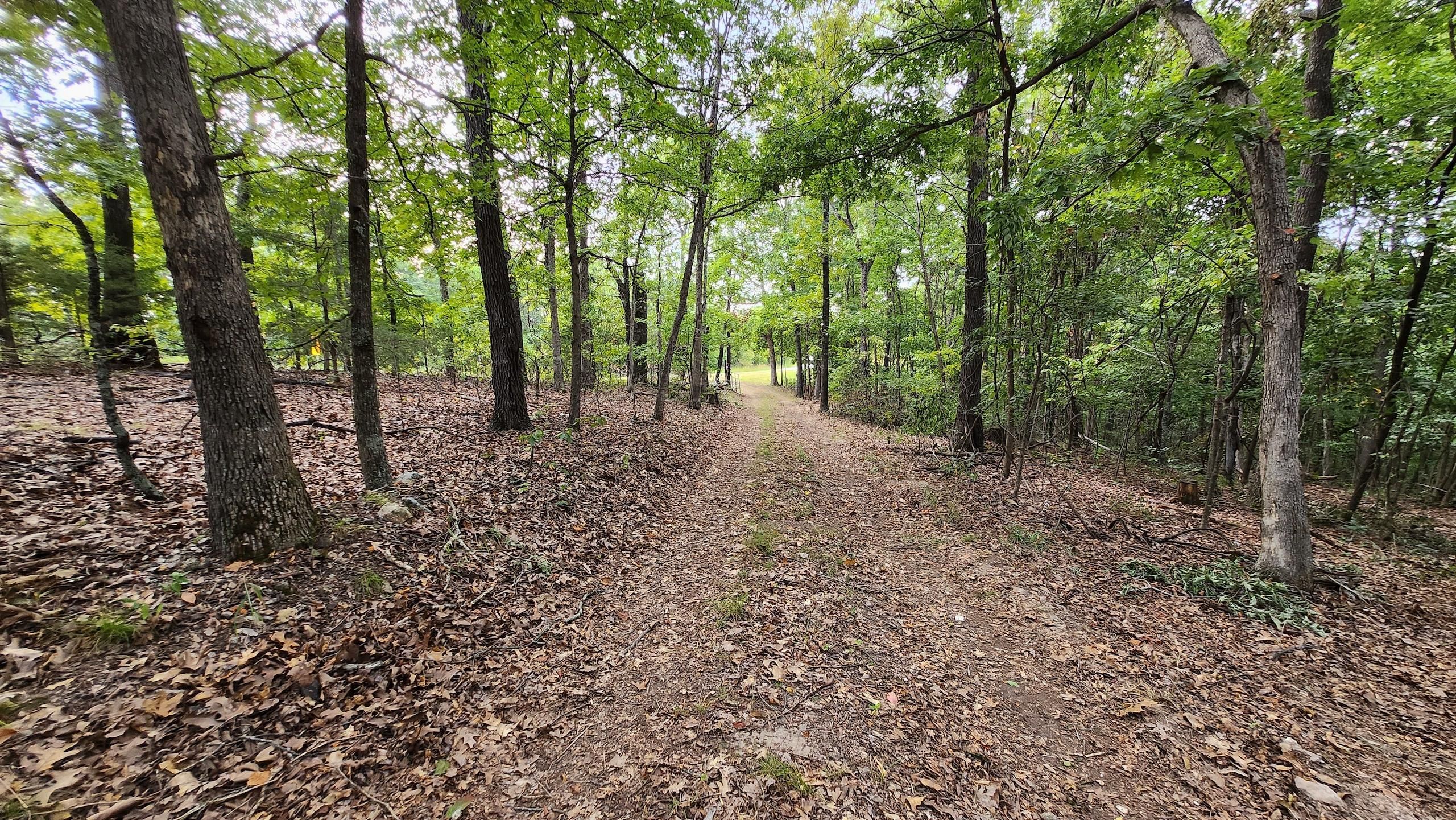 Peel, Marion County, AR Recreational Property, Timberland Property