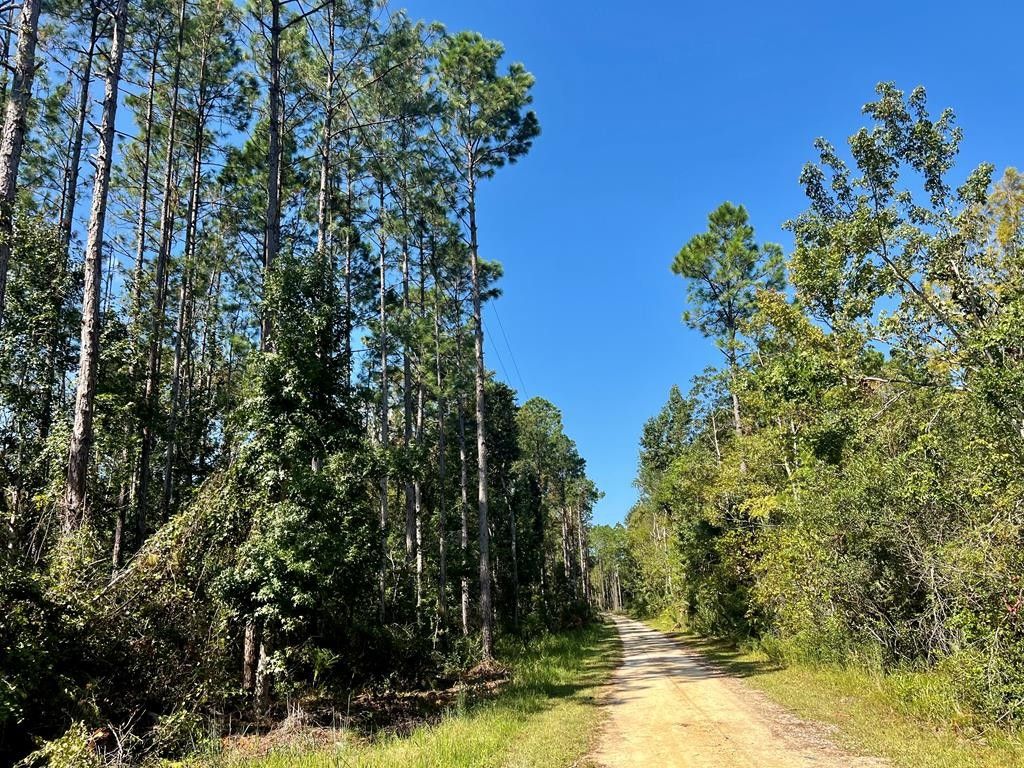 Steinhatchee, Dixie County, FL Undeveloped Land for sale Property ID