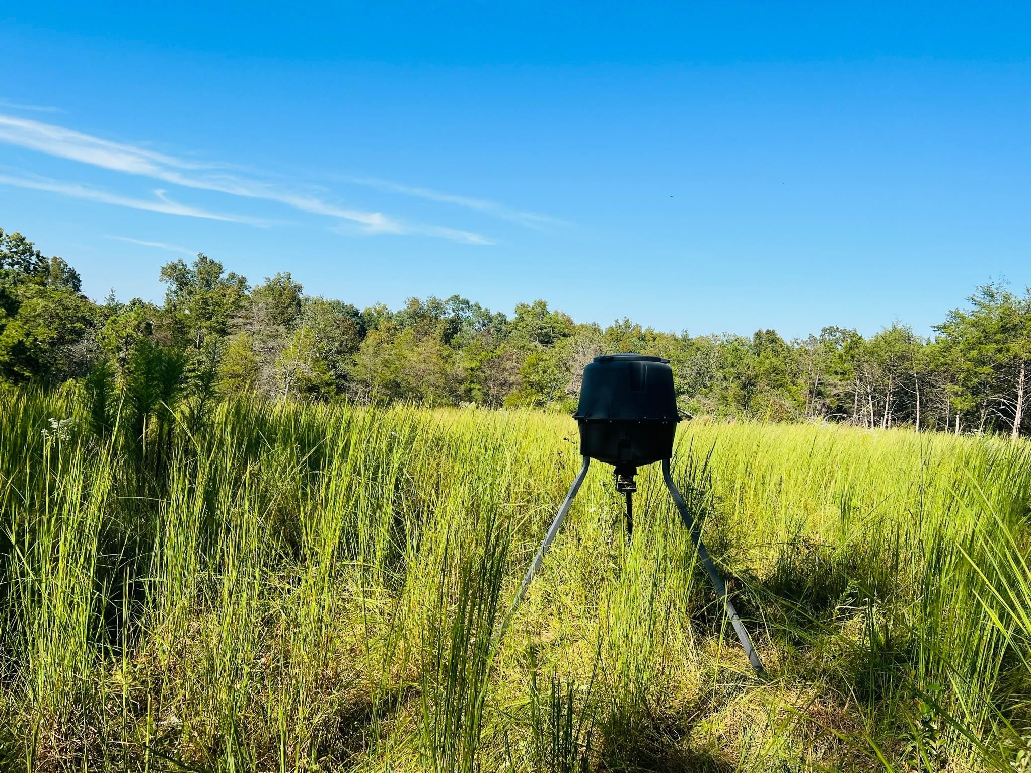 Cave City, Sharp County, AR Recreational Property, Timberland Property