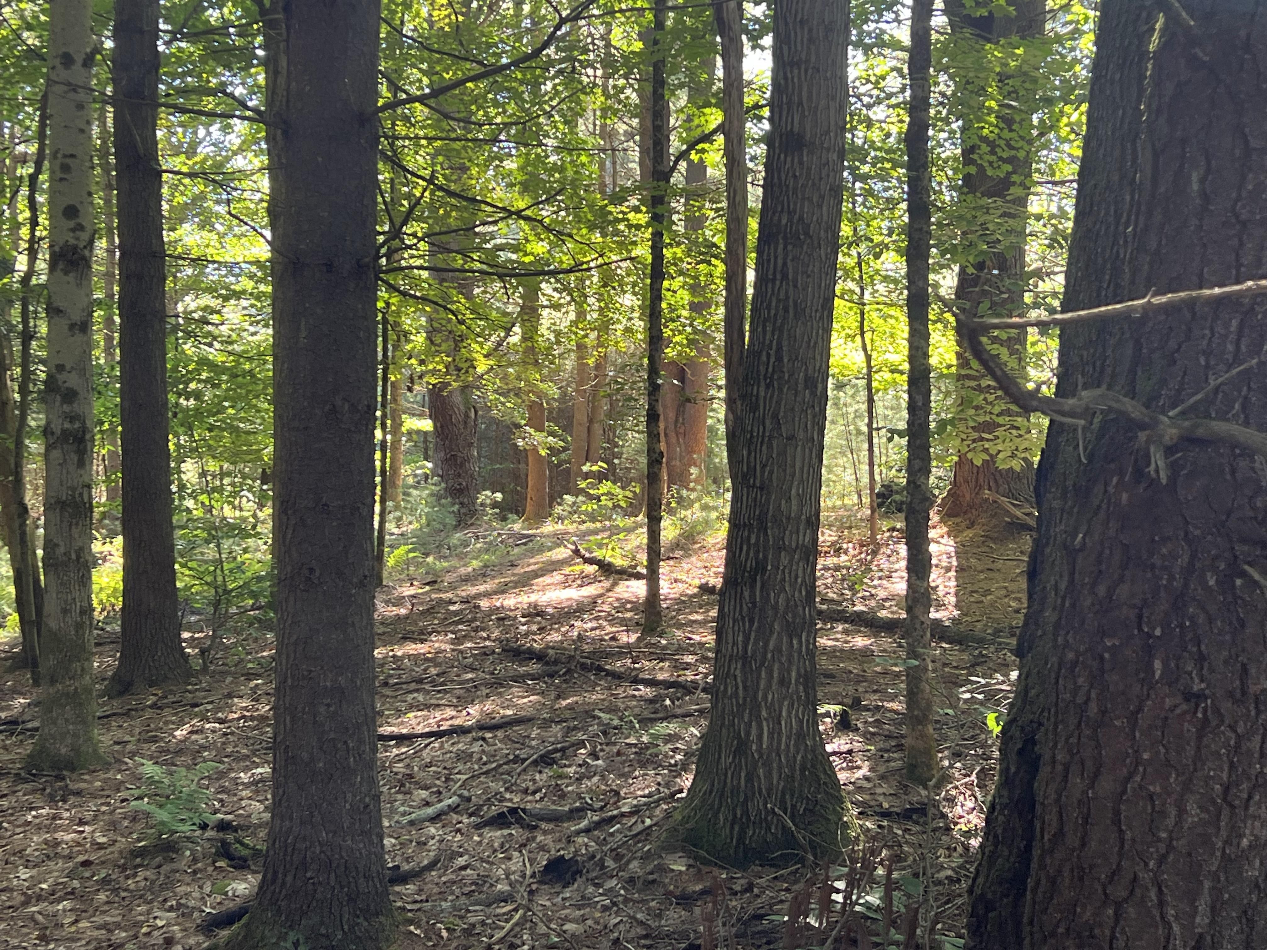 Camden, Oneida County, NY Recreational Property, Hunting Property for