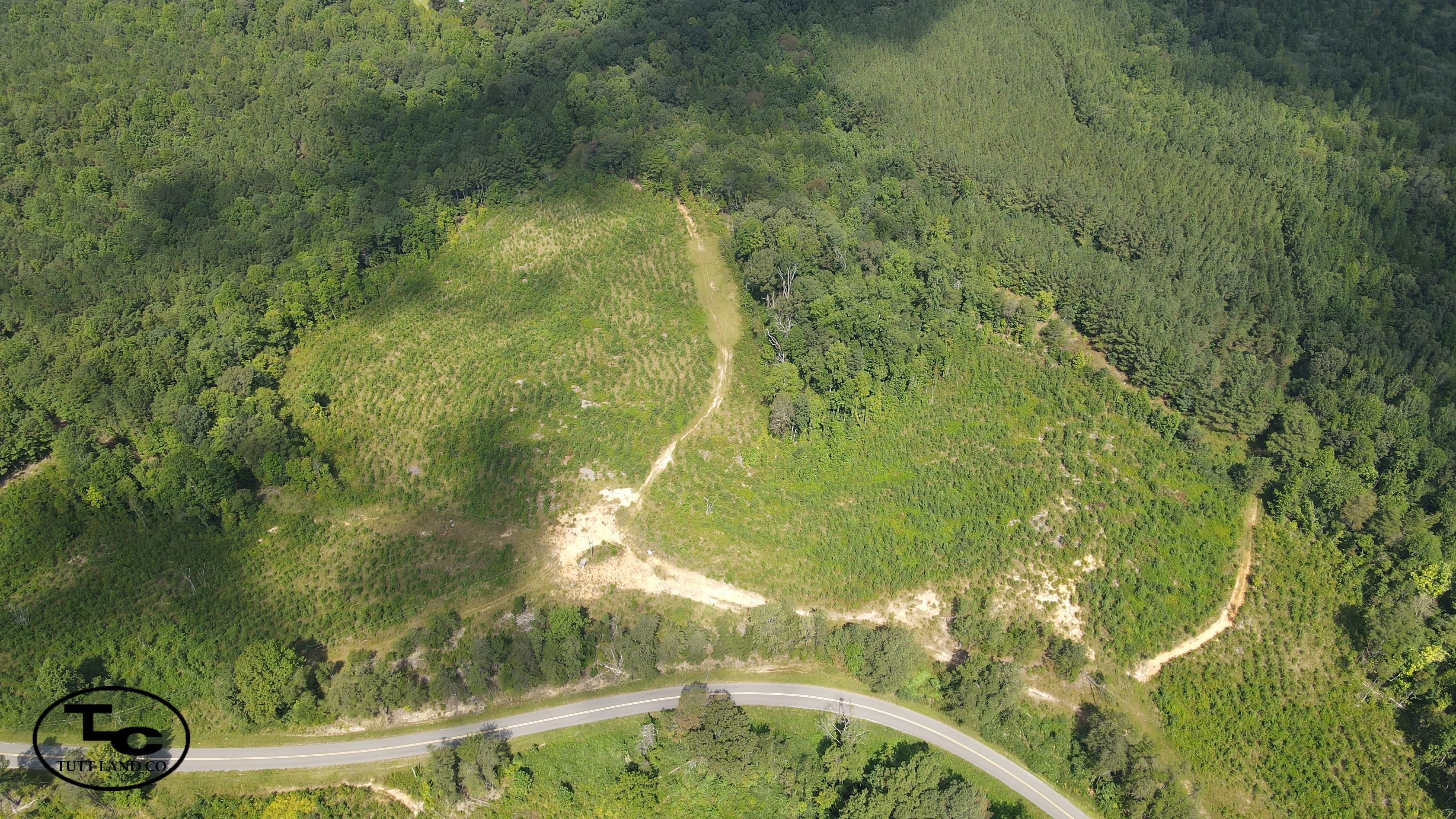 Haleyville, Winston County, AL Recreational Property, Hunting Property