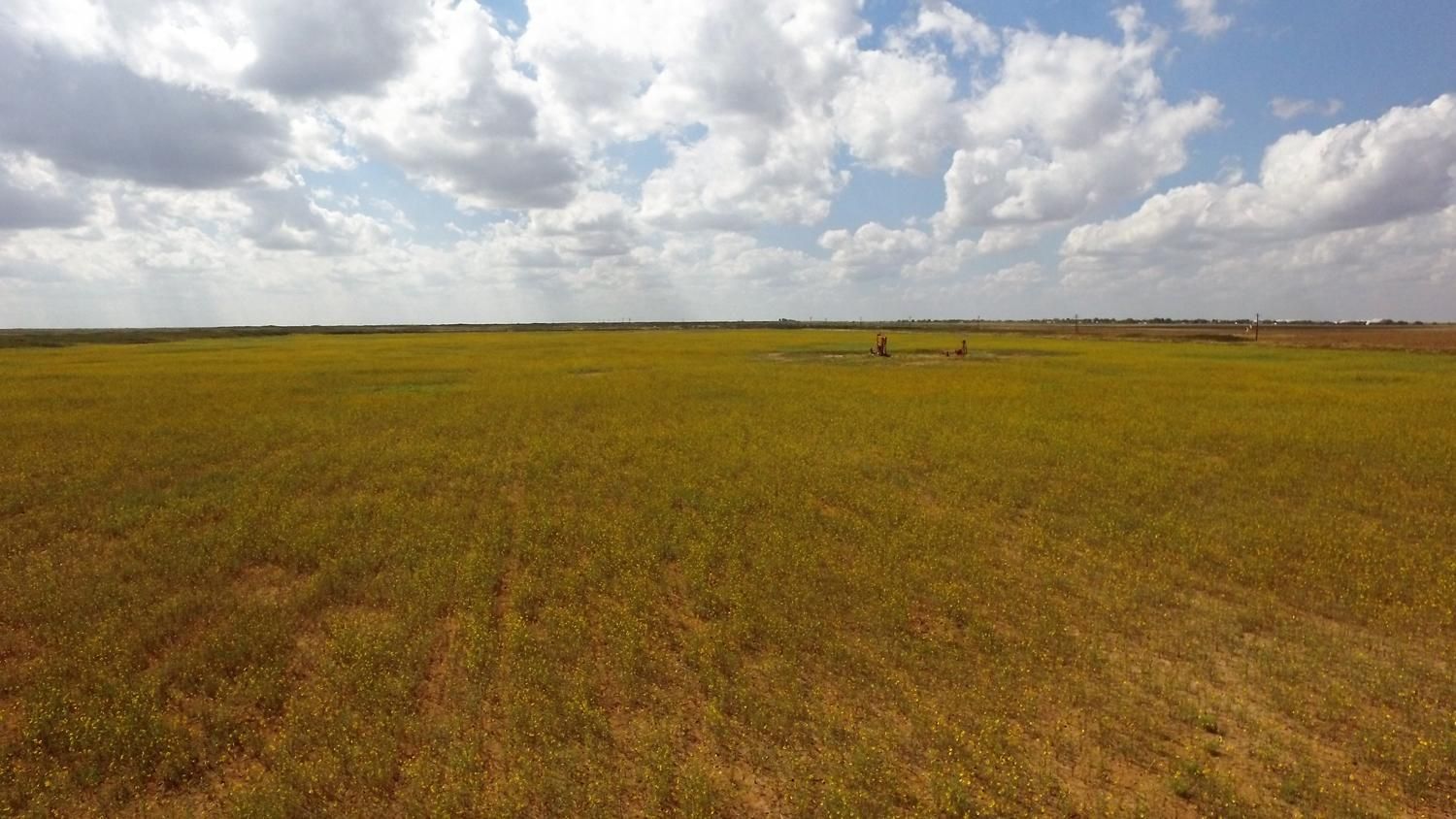 Bledsoe, Cochran County, TX Farms and Ranches for sale Property ID