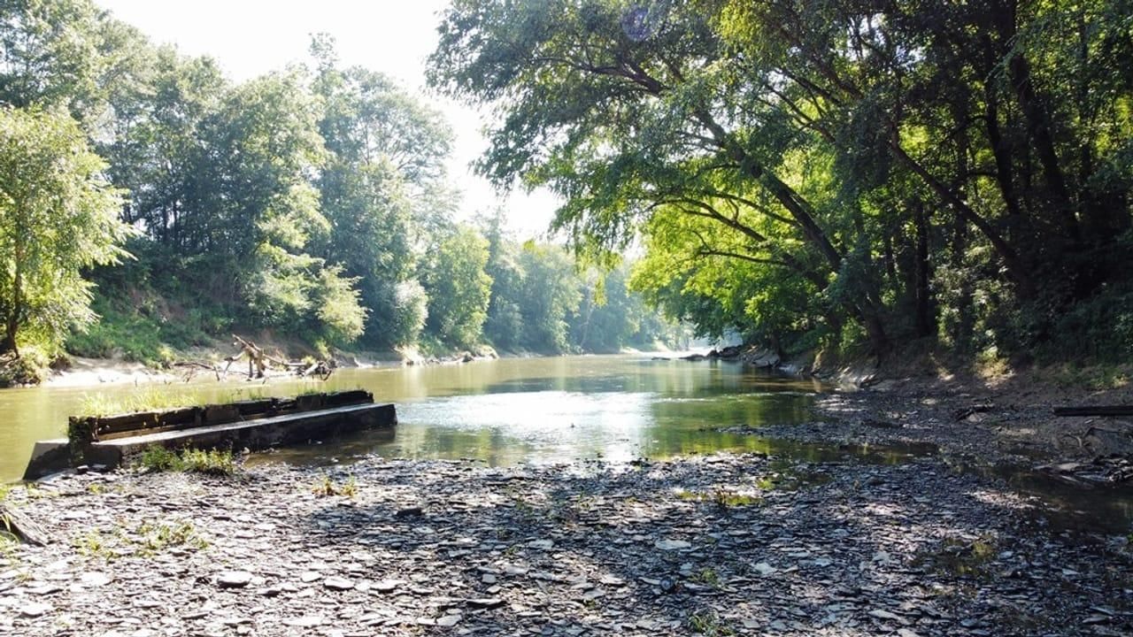 Empire, Walker County, AL Farms and Ranches, Recreational Property
