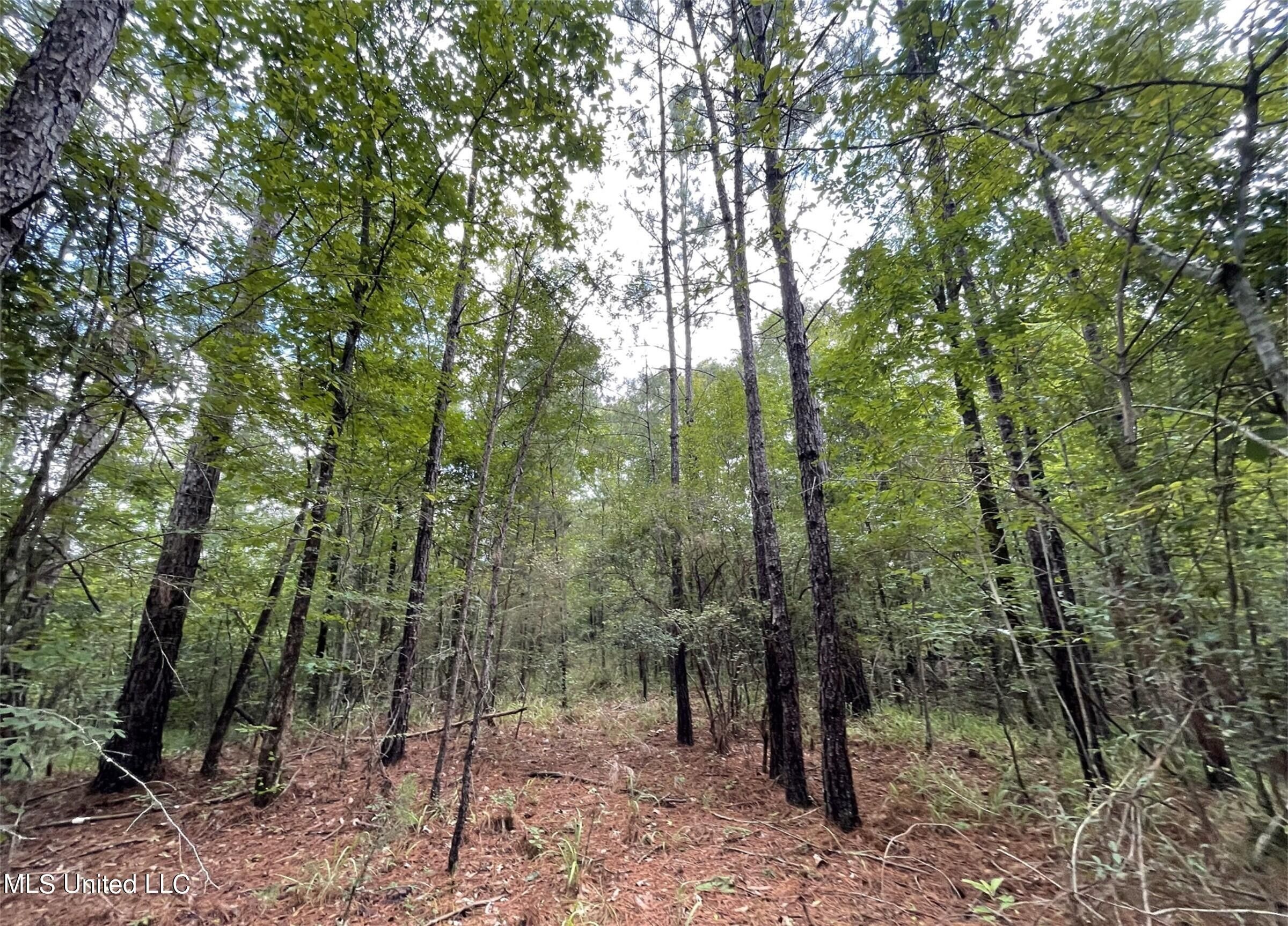 Utica, Hinds County, MS Undeveloped Land for sale Property ID
