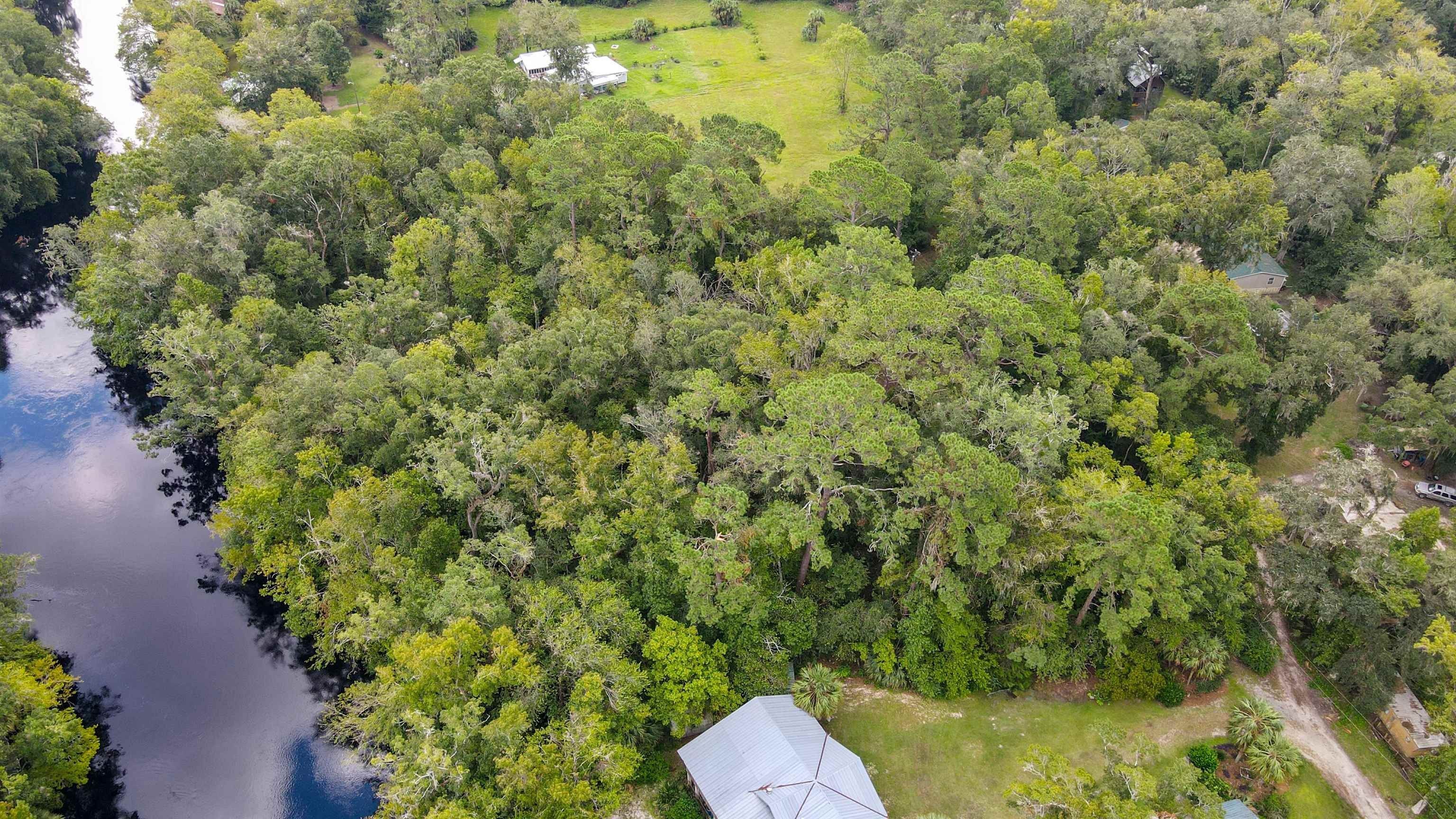 Lamont, Taylor County, FL Undeveloped Land, Lakefront Property