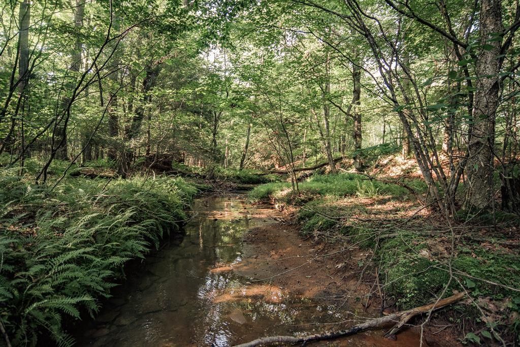 Sigel, Jefferson County, PA Undeveloped Land for sale Property ID