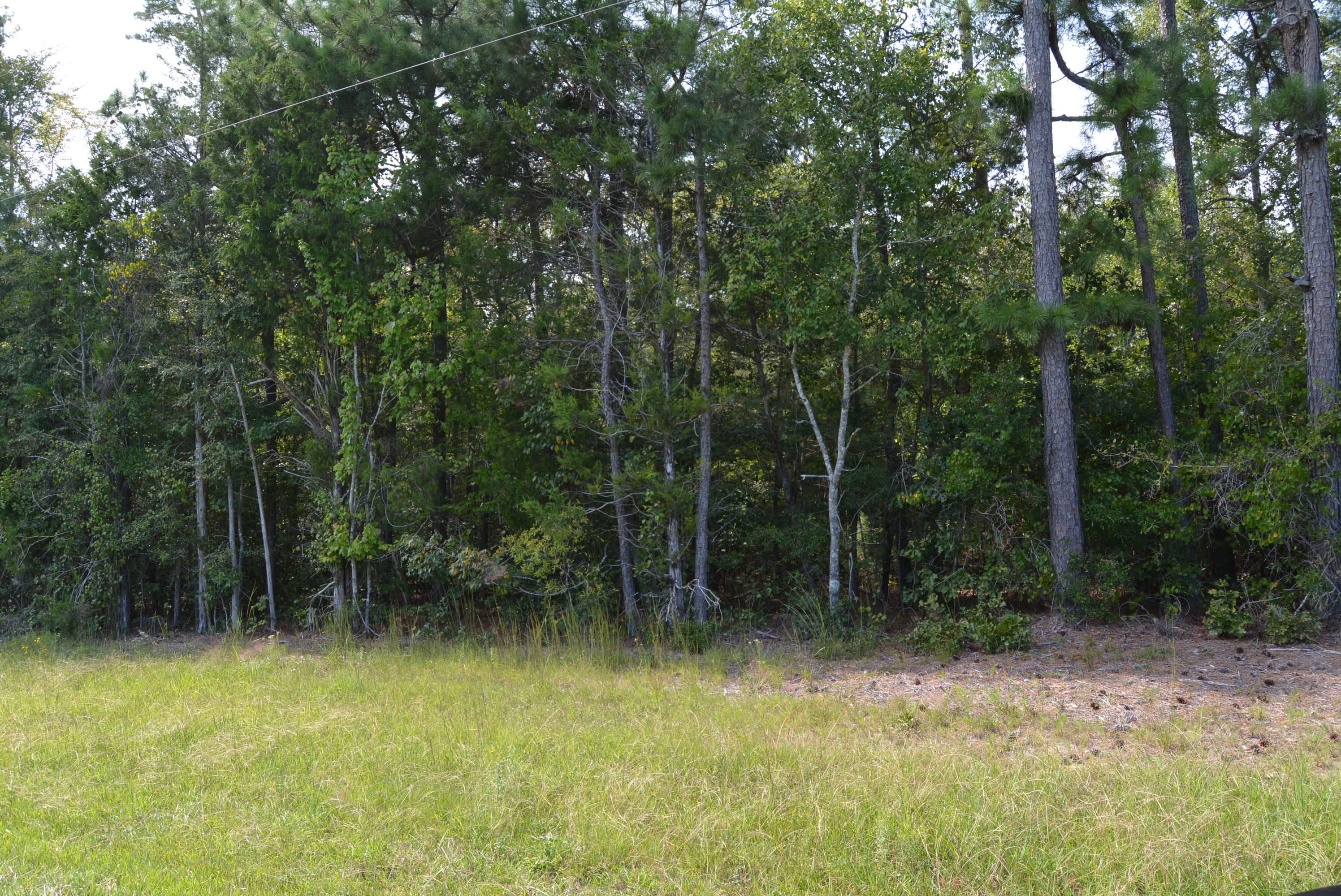 Asbury Chruch Road, Sanford, NC 27330 LandWatch