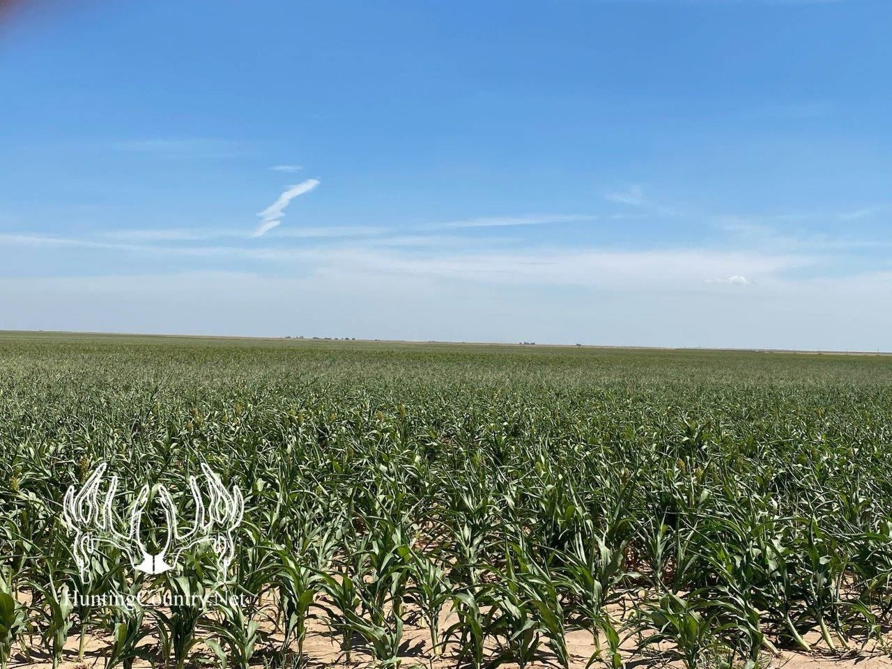 1,894 acres in Elkhart, KS, 67950 MLS KS639 LandWatch