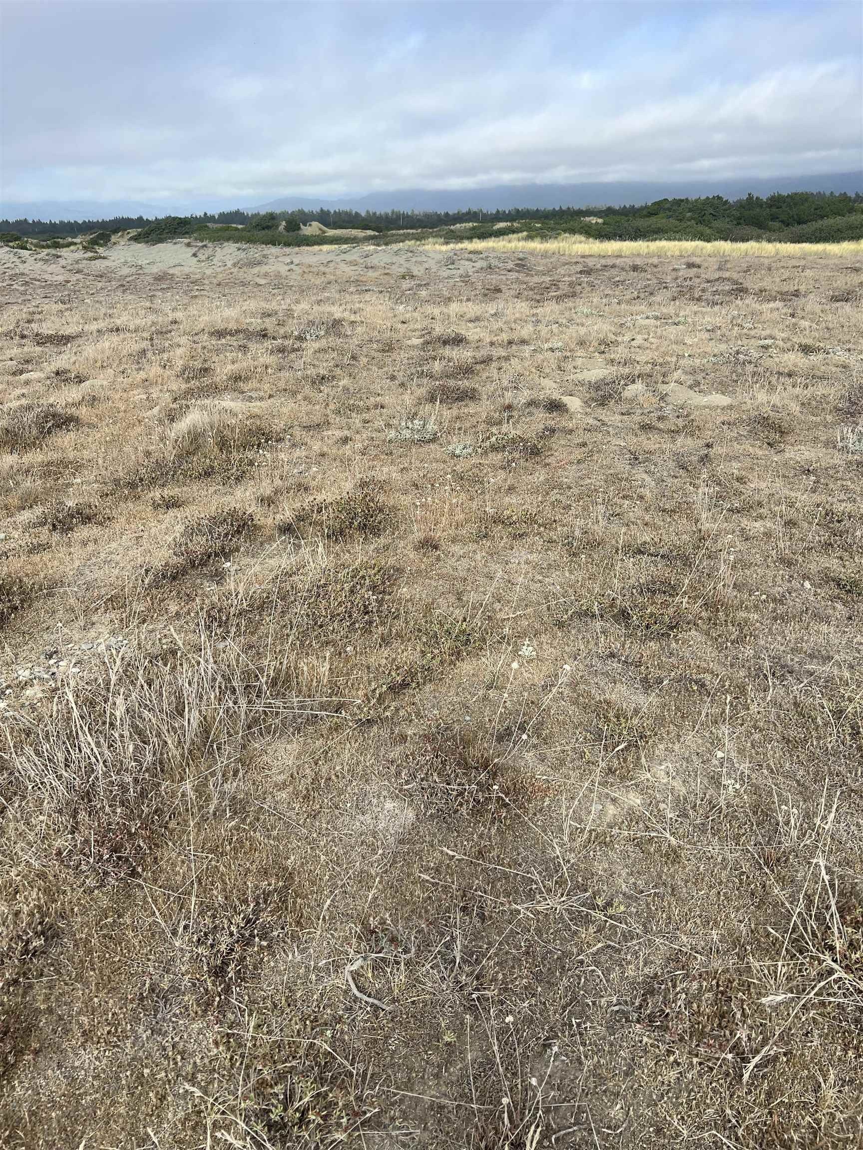 Crescent City, Del Norte County, CA Homesites for sale Property ID