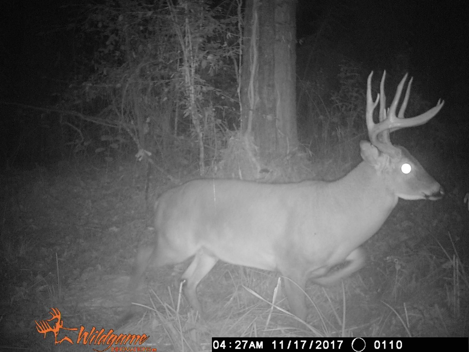 Pollock, Grant Parish, LA Recreational Property, Hunting Property for