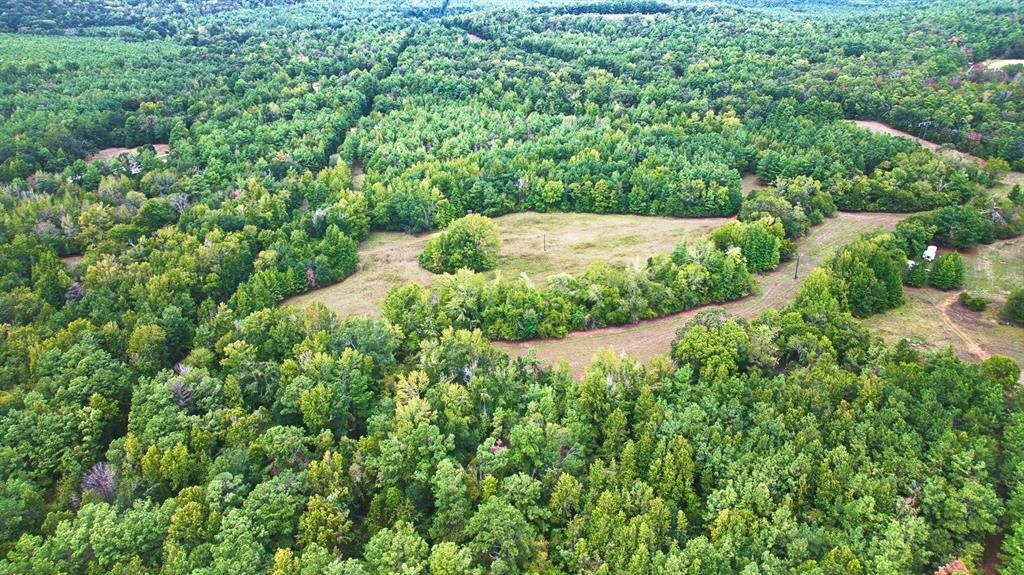 Larue, Henderson County, TX Undeveloped Land for sale Property ID