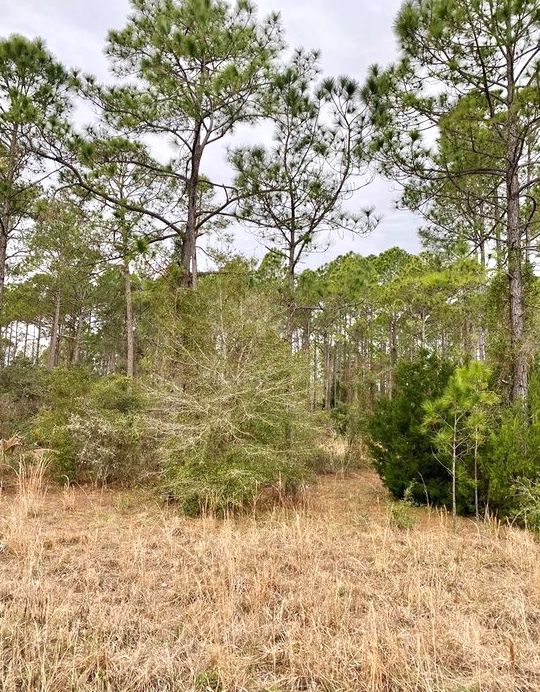 Avon Park, Highlands County, FL Recreational Property, Undeveloped Land, Homesites for sale