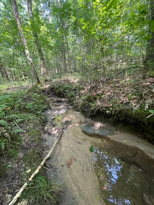 Roanoke, Randolph County, AL Hunting Property for sale Property ID