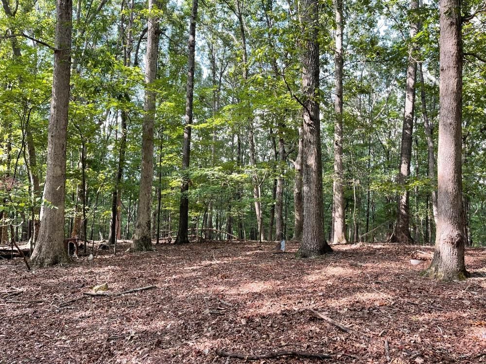 Alto, Banks County, GA Timberland Property for sale Property ID