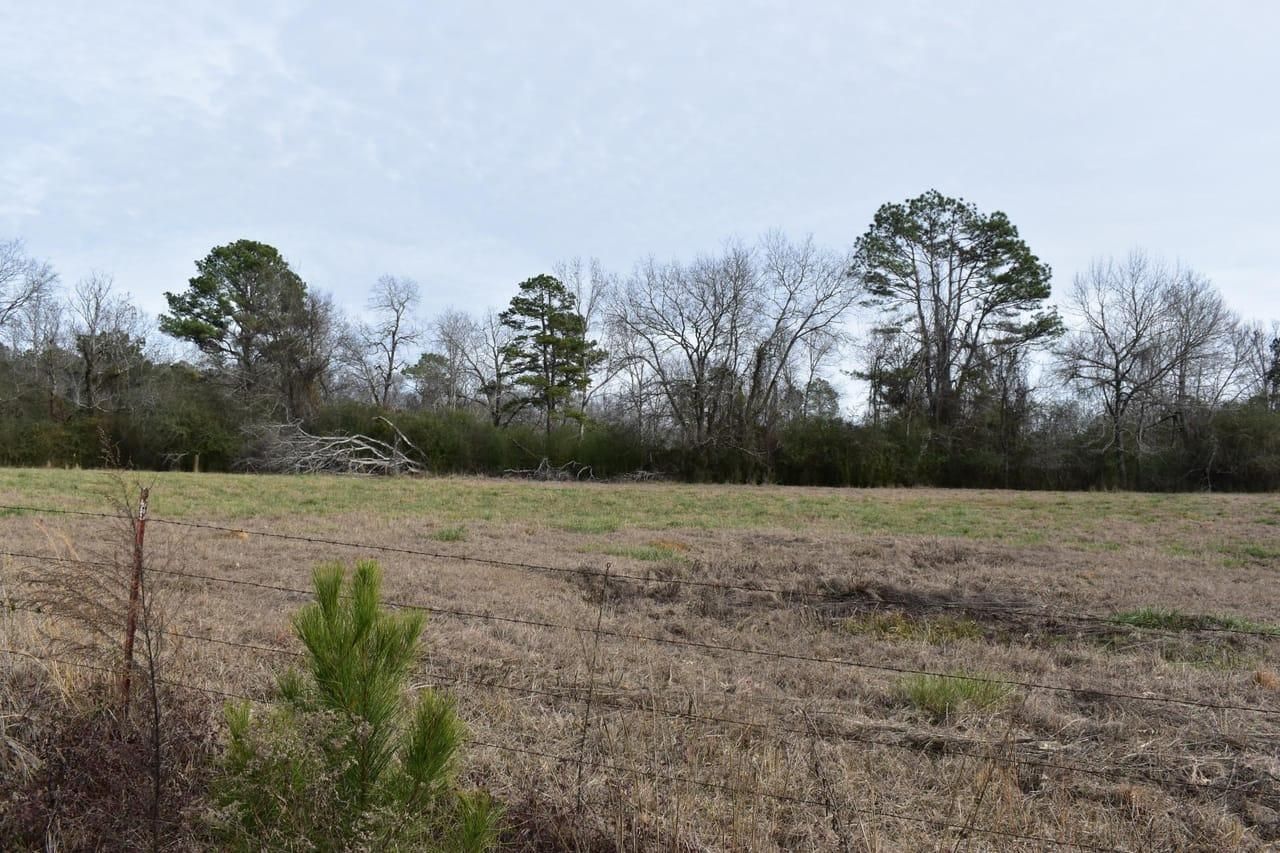 Delight, Pike County, AR Recreational Property, Timberland Property