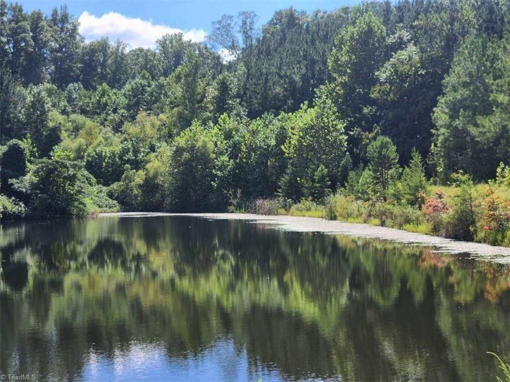 Dobson, Surry County, NC Farms and Ranches for sale Property ID