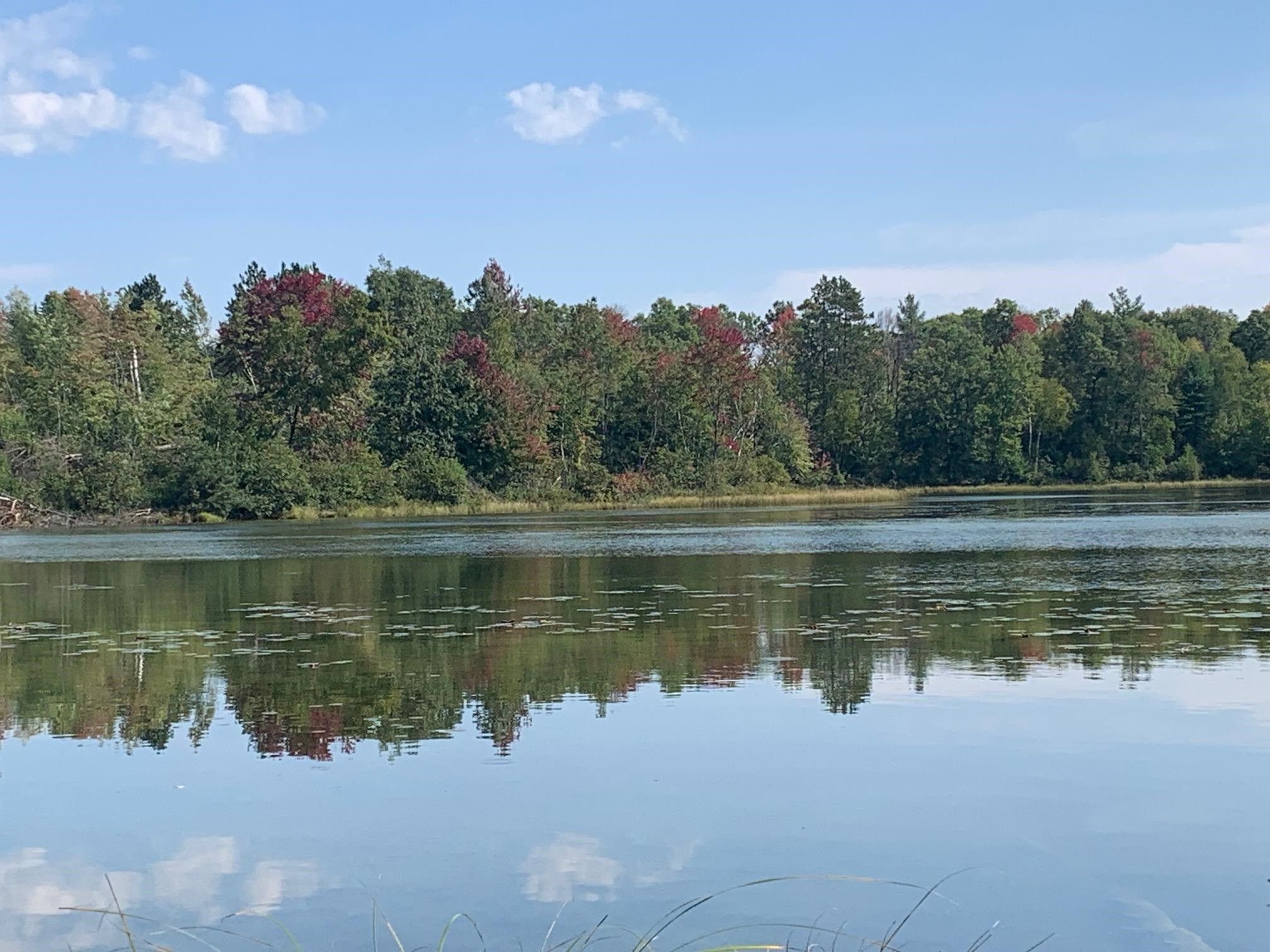 Amberg, County, WI Undeveloped Land, Lakefront Property