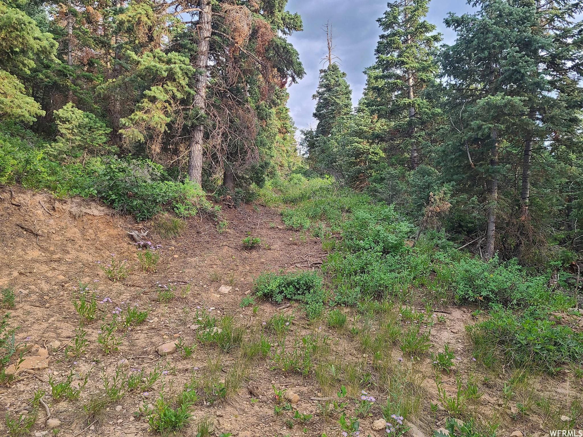 Mount Pleasant, Sanpete County, UT Recreational Property, Undeveloped
