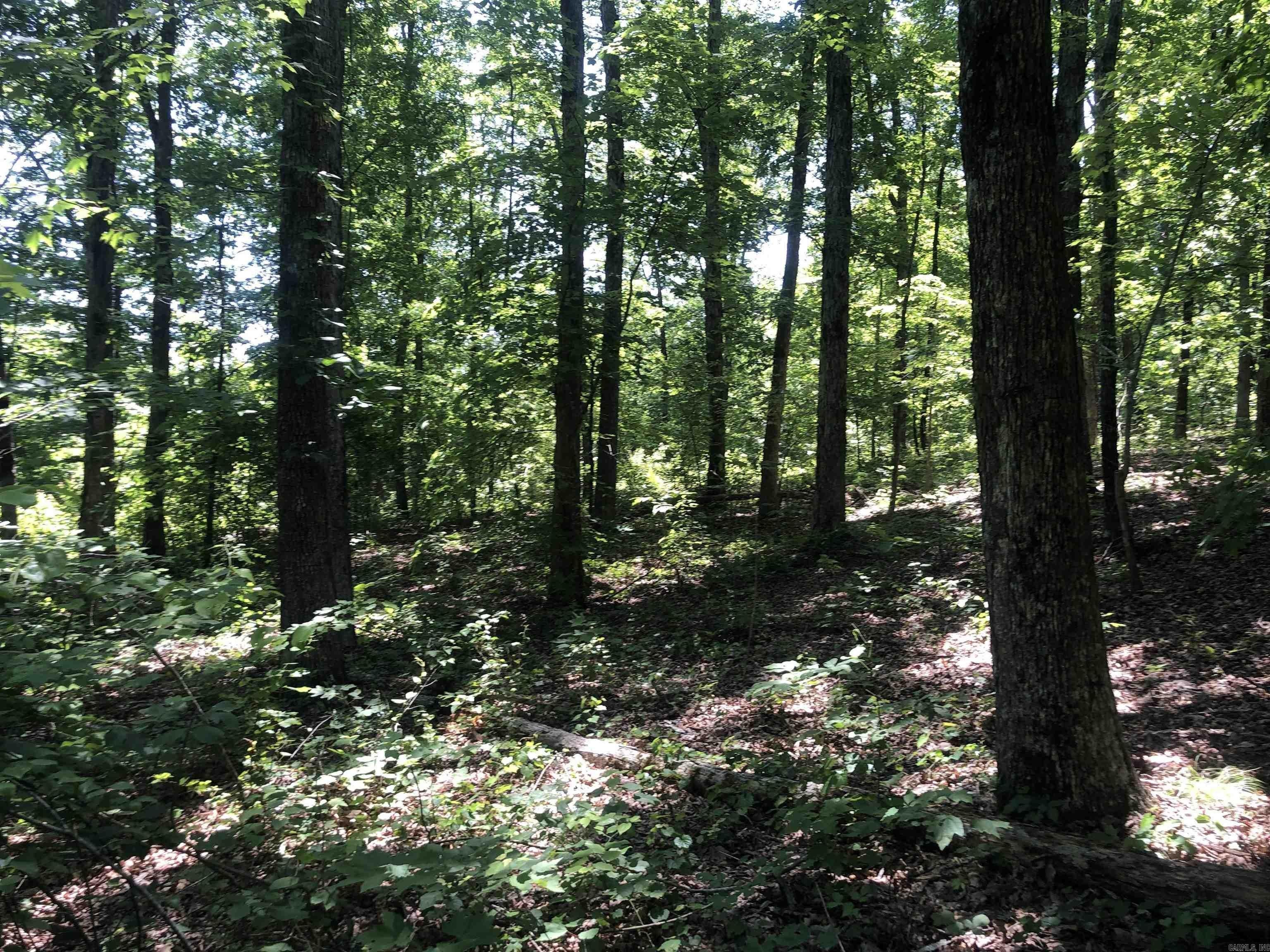 Clinton, Van Buren County, AR Undeveloped Land for sale Property ID