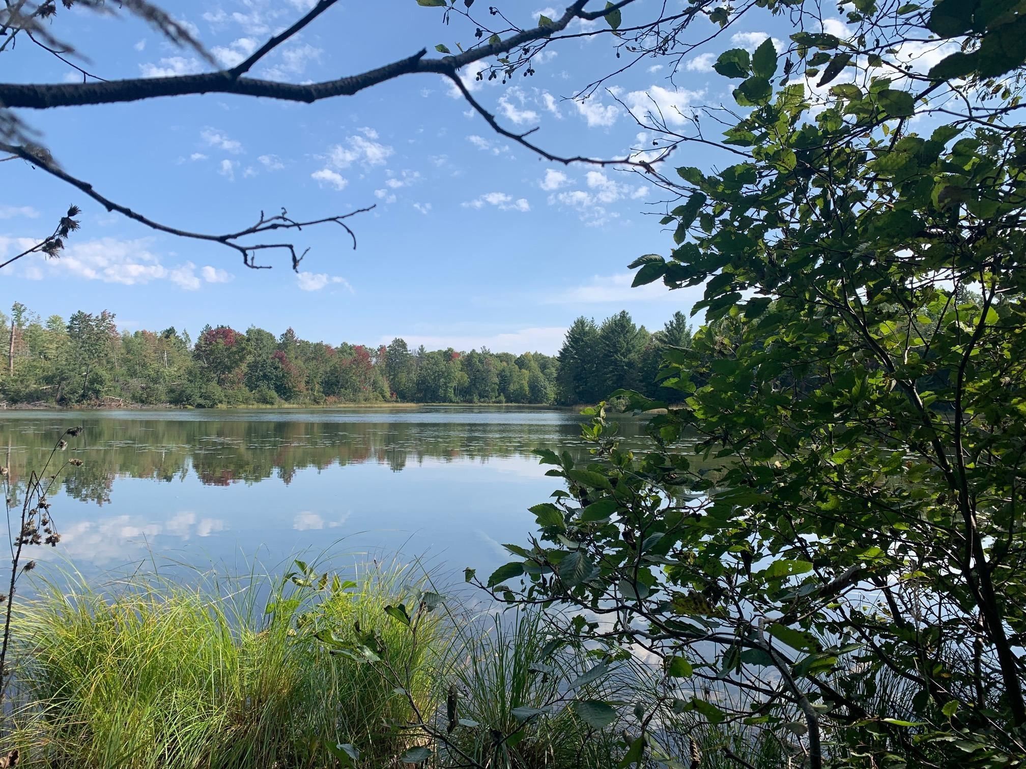 Amberg, County, WI Undeveloped Land, Lakefront Property