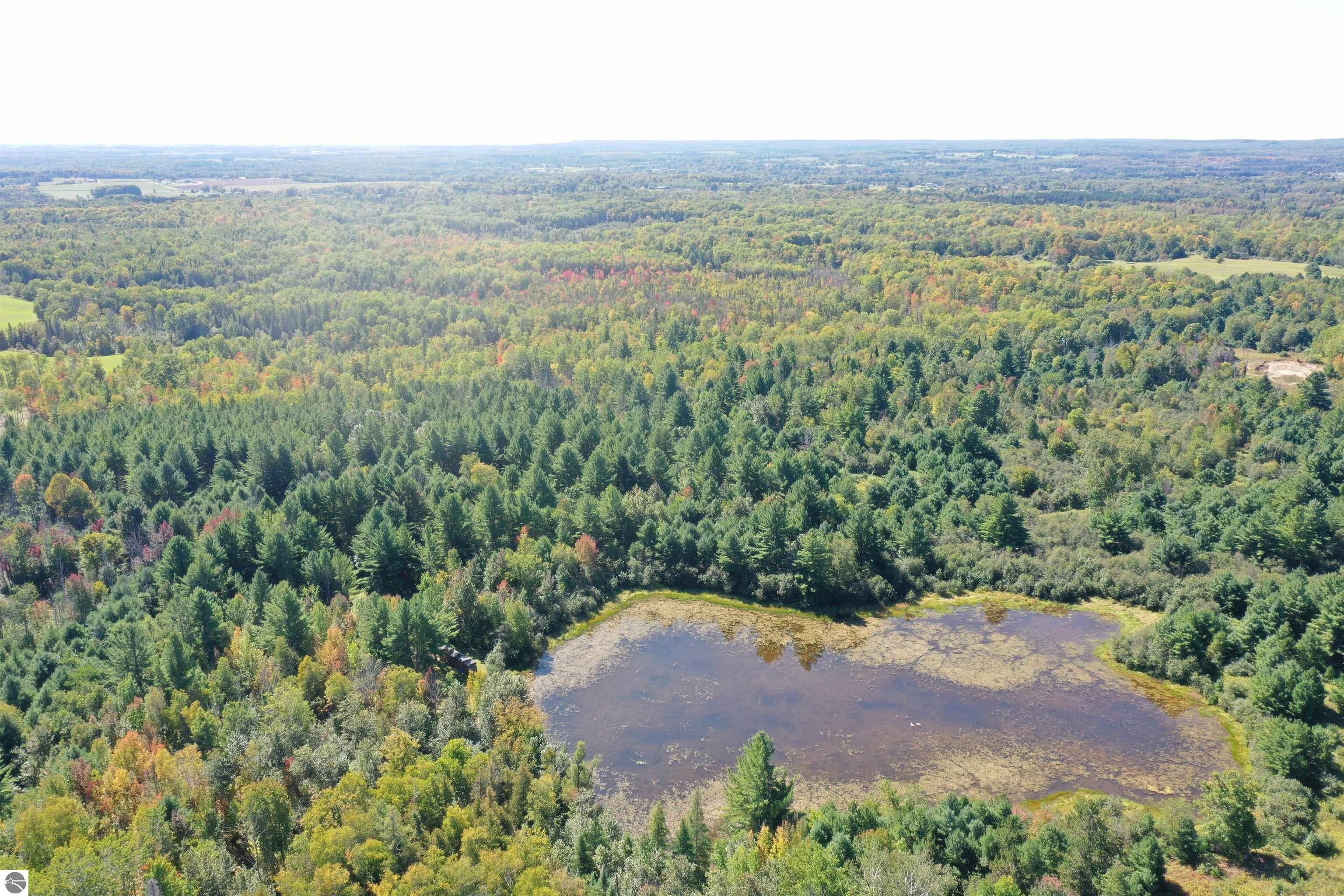 Rose City, Ogemaw County, MI Undeveloped Land, Lakefront Property