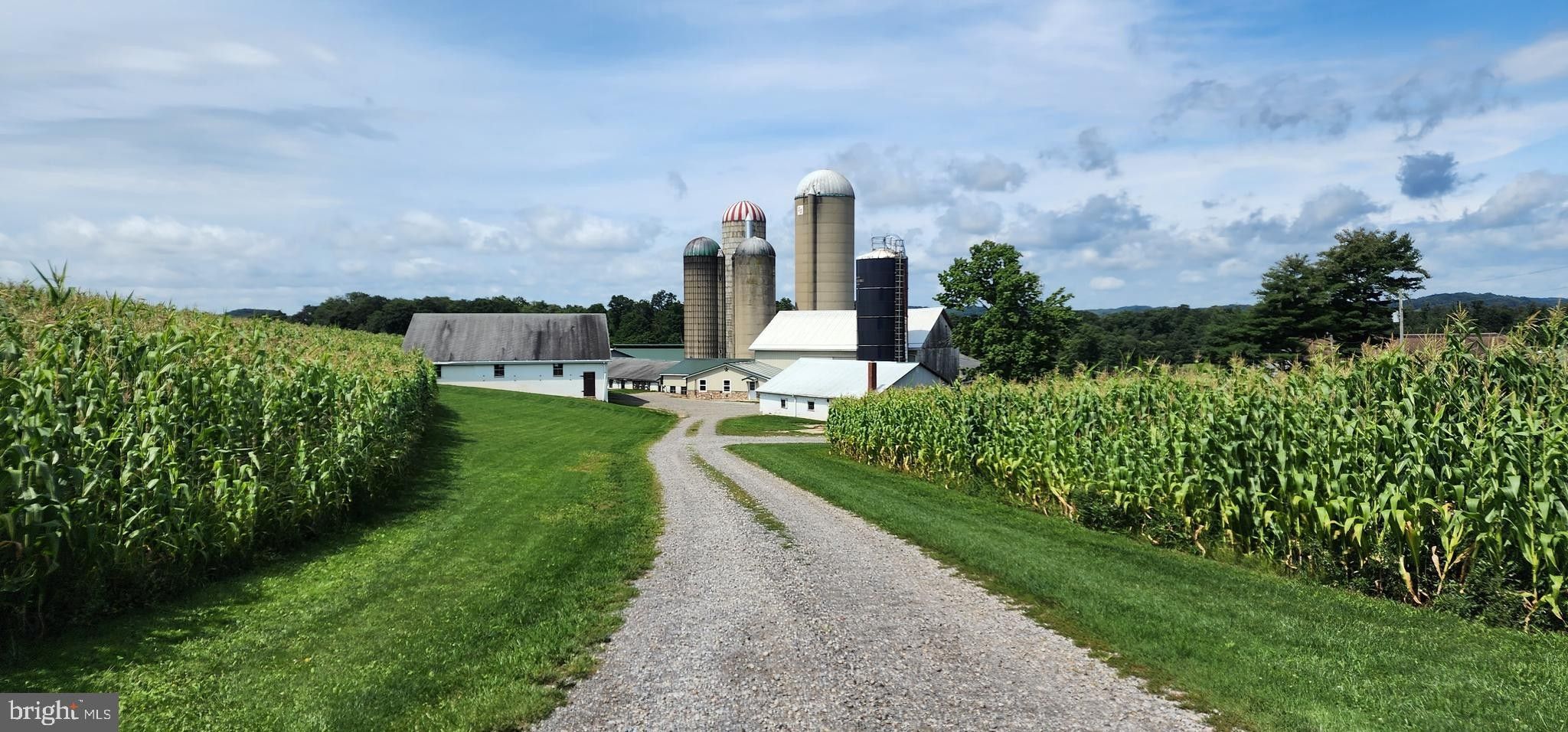 Cherry Tree, Indiana County, PA Farms and Ranches, House for sale