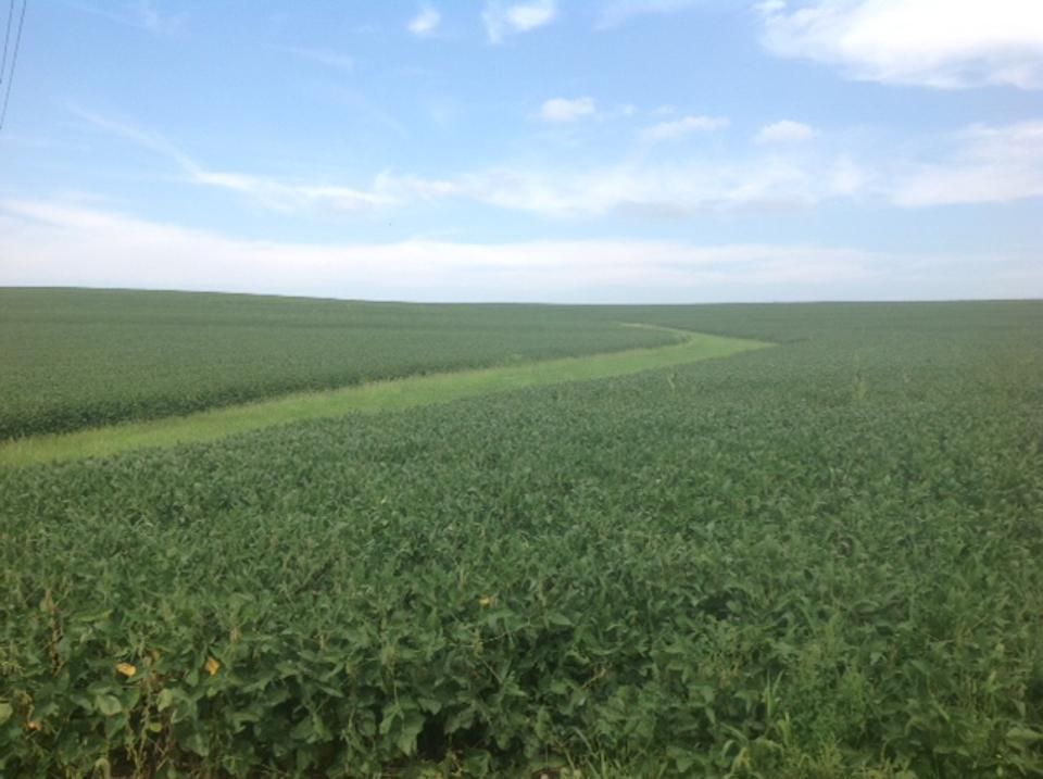 Dunbar, Otoe County, NE Farms and Ranches, Recreational Property for sale Property ID 417724848