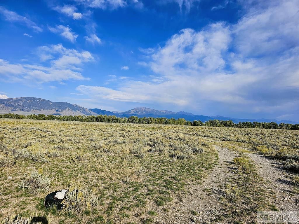 Leadore, Lemhi County, ID Undeveloped Land for sale Property ID