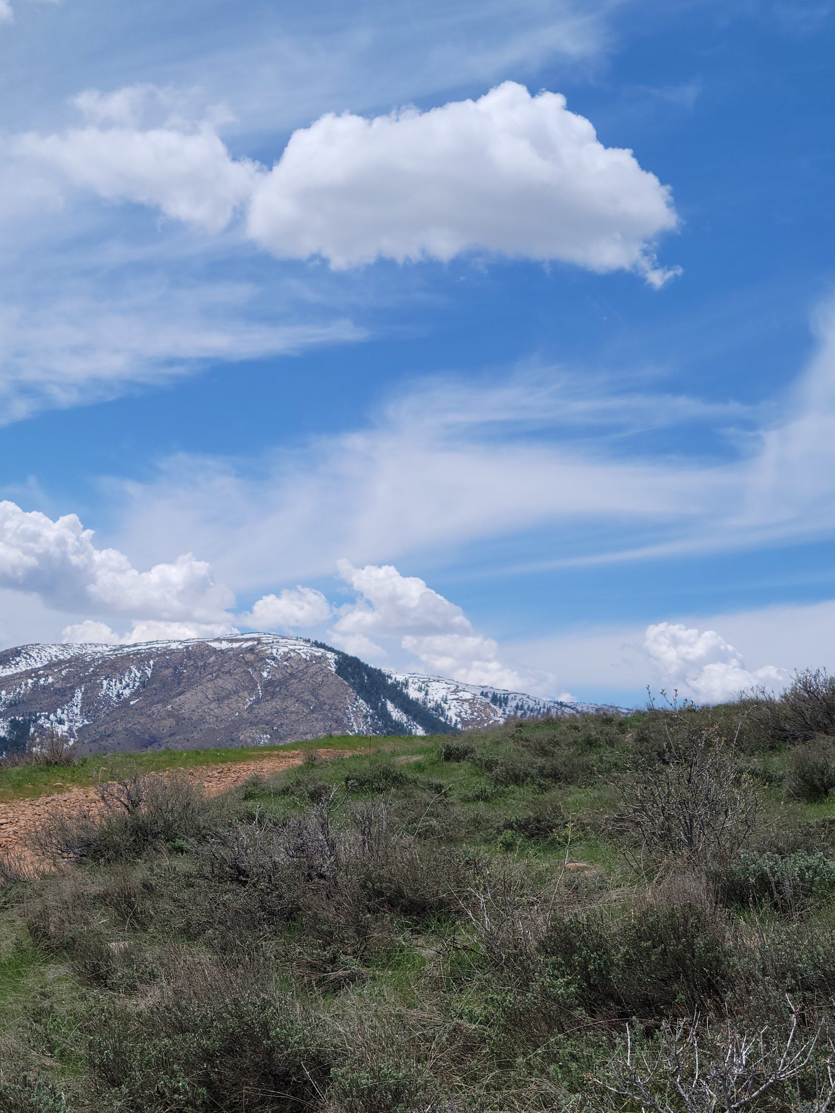 Huntsville, er County, UT Undeveloped Land, House for sale Property