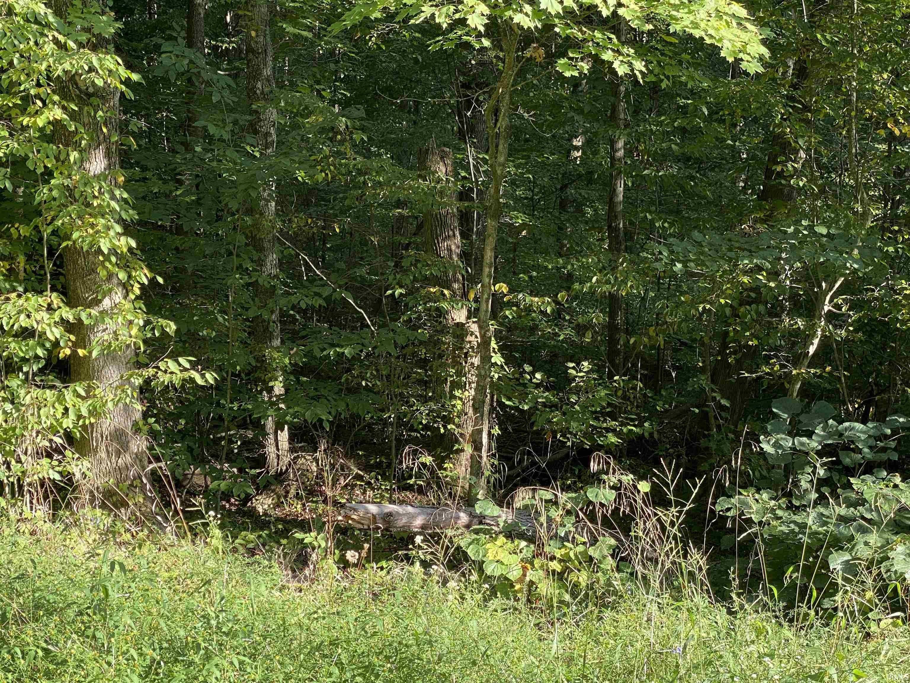 Spencer, Owen County, IN Undeveloped Land for sale Property ID