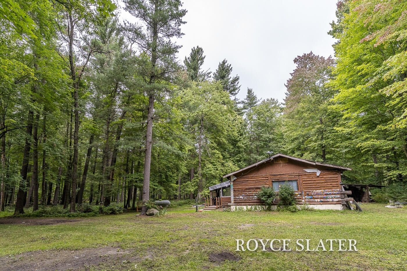 Newaygo, Montcalm County, MI House for sale Property ID 417726995