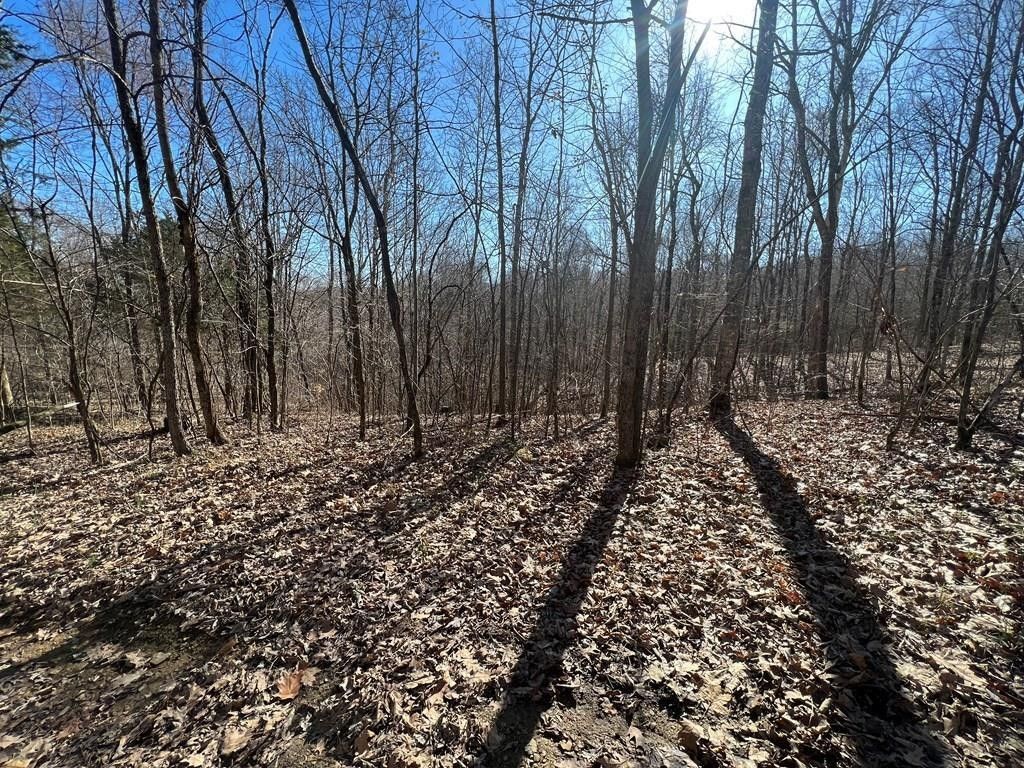 Summer Shade, Metcalfe County, KY Farms and Ranches for sale Property