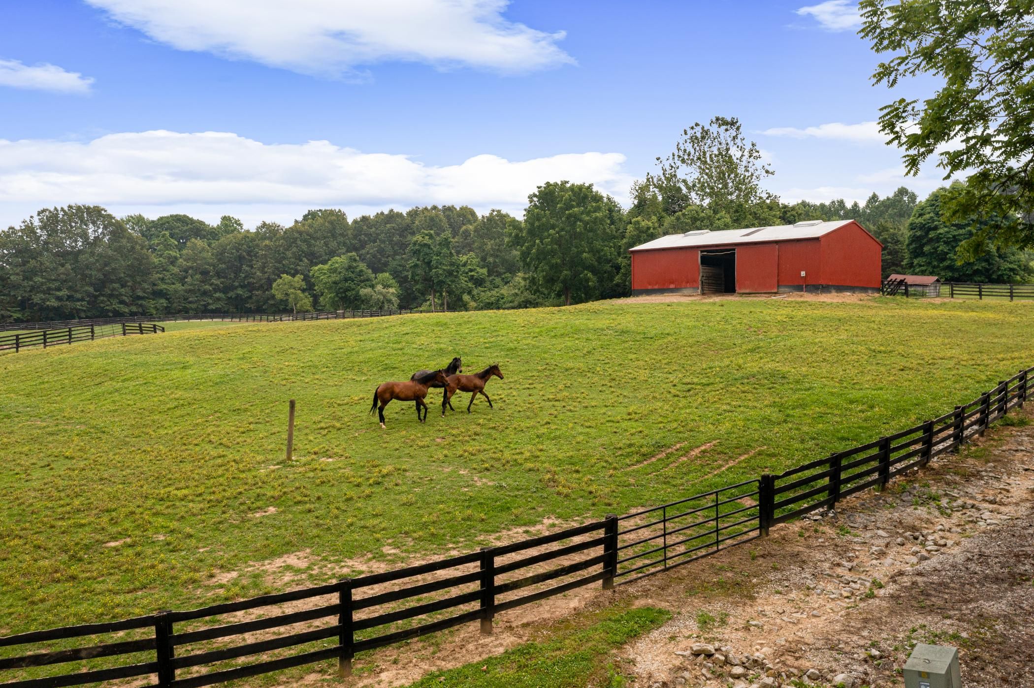 Greenville, Floyd County, IN Farms and Ranches, Horse Property, House